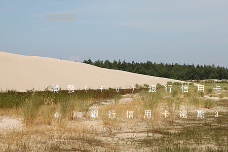 浦發(fā)銀行信用卡逾期3個(浦發(fā)銀行信用卡逾期3個月 還完最度)