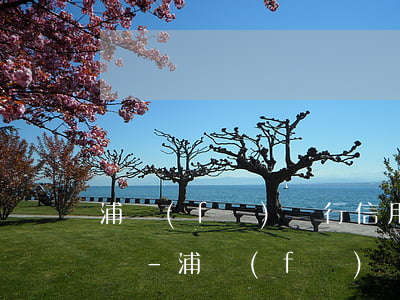 浦發(fā)銀行信用卡逾期50萬無力償還-浦發(fā)銀行信用卡逾期50萬無力償還怎么辦
