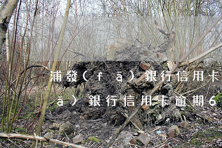 浦發(fā)銀行信用卡逾期6-浦發(fā)銀行信用卡逾期6000多久會被起訴