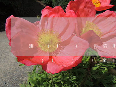 浦發(fā)銀行信用卡逾期8個月沒還(浦發(fā)銀行逾期4天,馬上還款是否影響征信)