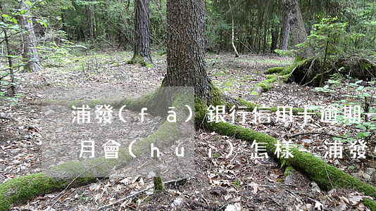 浦發(fā)銀行信用卡逾期一個(gè)月會(huì)怎樣-浦發(fā)銀行信用卡逾期一個(gè)月會(huì)怎樣處理