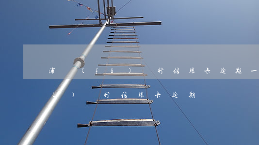 浦發(fā)銀行信用卡逾期一周(浦發(fā)銀行信用卡 逾期)