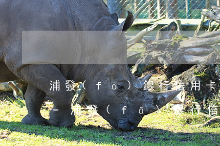浦發(fā)銀行信用卡逾期一天有沒有事-浦發(fā)銀行信用卡逾期一天有沒有事啊