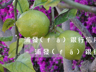 浦發(fā)銀行信用卡逾期一次會怎么樣-浦發(fā)銀行信用卡逾期一次會怎么樣嗎