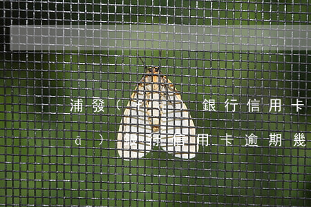 浦發(fā)銀行信用卡逾期一次(浦發(fā)銀行信用卡逾期幾天會有不良記錄)