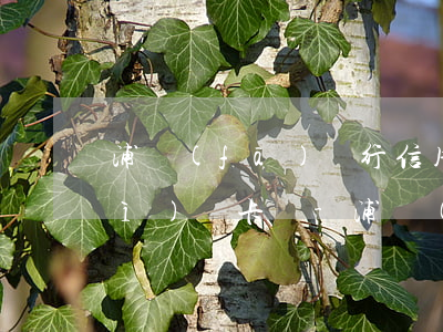 浦發(fā)銀行信用卡逾期七天會(huì)凍卡嗎-浦發(fā)銀行信用卡逾期七天會(huì)凍卡嗎怎么辦