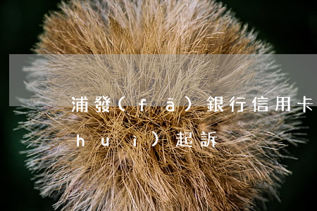 浦發(fā)銀行信用卡逾期上門多久會(huì)起訴