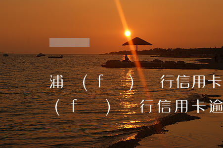 浦發(fā)銀行信用卡逾期了10天(浦發(fā)銀行信用卡逾期了10天怎么還款)