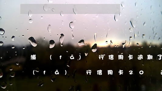 浦發(fā)銀行信用卡逾期了怎么辦 浦發(fā)銀行信用卡20萬逾期一年說通過法律程序追討