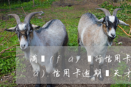 浦發(fā)銀行信用卡逾期二天(浦發(fā)信用卡逾期兩天才還上,影響信用記錄嗎)