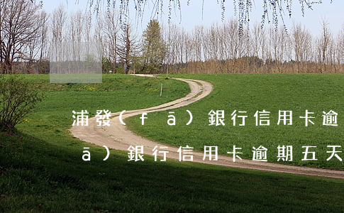浦發(fā)銀行信用卡逾期五天(浦發(fā)銀行信用卡逾期五天會給聯(lián)系人打電話嗎)