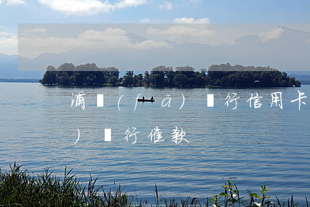 浦發(fā)銀行信用卡逾期催(浦發(fā)銀行催款)