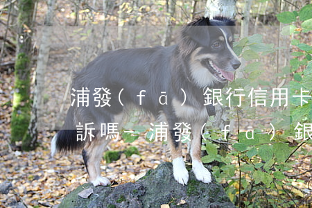 浦發(fā)銀行信用卡逾期兩個月會被起訴嗎-浦發(fā)銀行信用卡逾期兩個月會被起訴嗎知乎