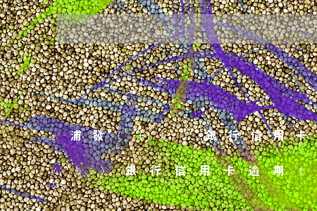 浦發(fā)銀行信用卡逾期兩千(浦發(fā)銀行信用卡逾期14萬(wàn)多,現(xiàn)在該怎么辦)