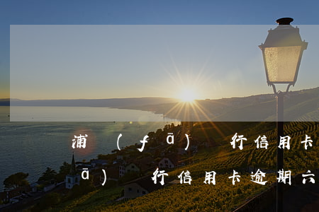 浦發(fā)銀行信用卡逾期六天(浦發(fā)銀行信用卡逾期六天一萬多少違約金)