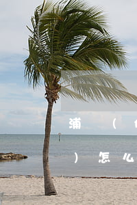 浦發(fā)銀行信用卡逾期凍結(jié)怎么解凍-浦發(fā)銀行信用卡逾期凍結(jié)怎么解凍不了