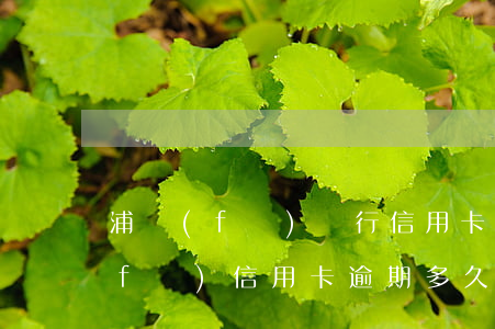 浦發(fā)銀行信用卡逾期利息6(浦發(fā)信用卡逾期多久會被起訴欠款七千多)