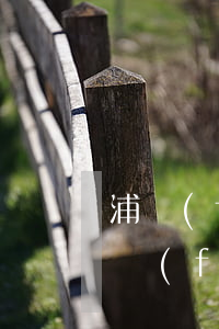 浦發(fā)銀行信用卡逾期十天封卡了 浦發(fā)信用卡4天算逾期嗎
