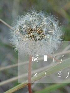浦發(fā)銀行信用卡逾期半年可以協(xié)商解決嗎-浦發(fā)銀行信用卡逾期半年可以協(xié)商解決嗎