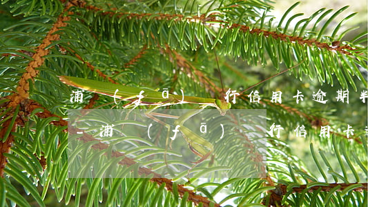 浦發(fā)銀行信用卡逾期半年有利息嗎-浦發(fā)銀行信用卡逾期半年有利息嗎多少