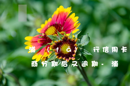 浦發(fā)銀行信用卡逾期協(xié)商分期后又逾期-浦發(fā)銀行信用卡逾期協(xié)商分期后又逾期了幾次但時(shí)間不長