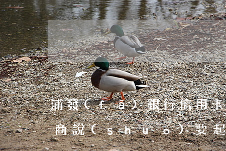 浦發(fā)銀行信用卡逾期協(xié)商說(shuō)要起訴-浦發(fā)銀行信用卡逾期協(xié)商說(shuō)要起訴是真的嗎
