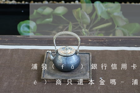 浦發(fā)銀行信用卡逾期可以協(xié)商只還本金嗎-浦發(fā)銀行信用卡逾期可以協(xié)商只還本金嗎