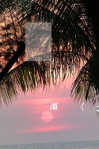 浦發(fā)銀行信用卡逾期多久會有不良記錄嗎-浦發(fā)信用卡 逾期