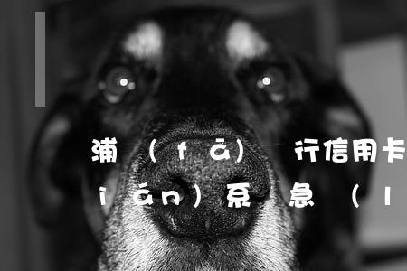 浦發(fā)銀行信用卡逾期多久會聯(lián)系緊急聯(lián)系人-浦發(fā)銀行逾期多久會給緊急聯(lián)系人打電話