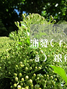 浦發(fā)銀行信用卡逾期多嗎(浦發(fā)銀行信用卡逾期多嗎)