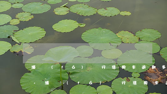浦發(fā)銀行信用卡逾期多少天會上門-浦發(fā)銀行信用卡逾期多少天會上門催收
