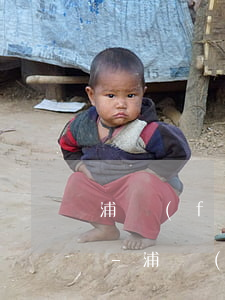 浦發(fā)銀行信用卡逾期多少錢被起訴-浦發(fā)銀行信用卡逾期多少錢被起訴了