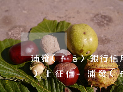 浦發(fā)銀行信用卡逾期多會(huì)上征信-浦發(fā)銀行信用卡逾期多會(huì)上征信啊