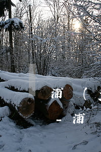 浦發(fā)銀行信用卡逾期委托了怎么辦-浦發(fā)銀行信用卡逾期委托了怎么辦理