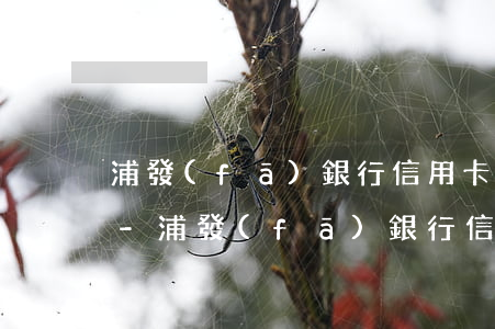 浦發(fā)銀行信用卡逾期年化利率多少-浦發(fā)銀行信用卡逾期年化利率多少錢