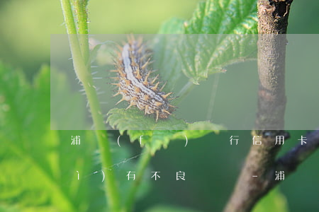 浦發(fā)銀行信用卡逾期幾天會(huì)有不良記錄-浦發(fā)銀行信用卡逾期幾天會(huì)有不良記錄嗎