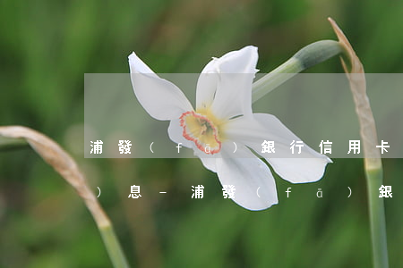 浦發(fā)銀行信用卡逾期怎么計(jì)息-浦發(fā)銀行信用卡 逾期