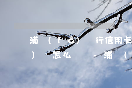 浦發(fā)銀行信用卡逾期應(yīng)該怎么還錢-浦發(fā)銀行信用卡逾期應(yīng)該怎么還錢呢