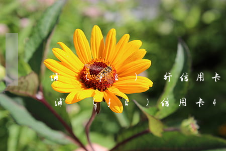 浦發(fā)銀行信用卡逾期時間怎么計算(浦發(fā)信用卡4天算逾期嗎)
