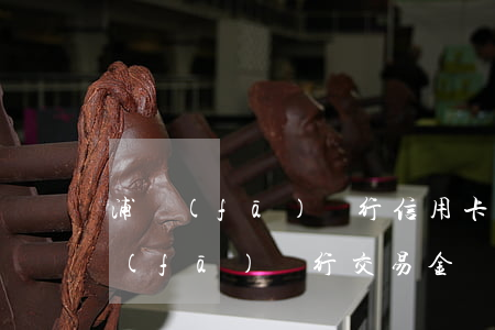 浦發(fā)銀行信用卡逾期最大金額(浦發(fā)銀行交易金額超限)