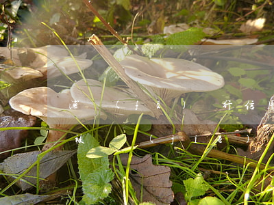 浦發(fā)銀行信用卡逾期會(huì)被凍結(jié)嗎(浦發(fā)銀行卡凍結(jié)了)