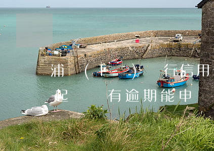 浦發(fā)銀行信用卡逾期會(huì)起訴嗎(有逾期能申請(qǐng)浦發(fā)信用卡)
