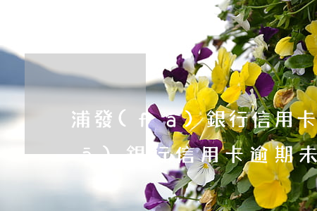 浦發(fā)銀行信用卡逾期未還(浦發(fā)銀行信用卡逾期未還爆通訊錄嗎?)
