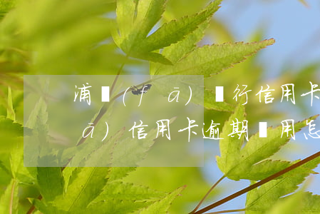 浦發(fā)銀行信用卡逾期條款(浦發(fā)信用卡逾期費用怎么算不是不能超過一個界限)