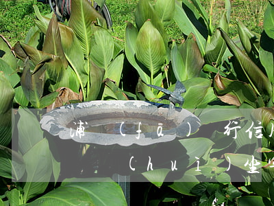 浦發(fā)銀行信用卡逾期沒(méi)還會(huì)坐牢嗎-浦發(fā)銀行信用卡逾期沒(méi)還會(huì)坐牢嗎知乎