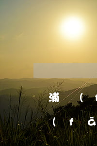 浦發(fā)銀行信用卡逾期法院傳票 浦發(fā)信用卡 訴訟