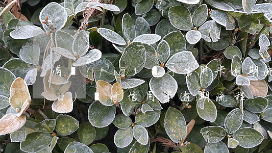 浦發(fā)銀行信用卡逾期流程(浦發(fā)銀行信用卡逾期流程)