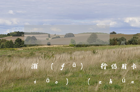 浦發(fā)銀行信用卡逾期滯納金標(biāo)準(zhǔn)-浦發(fā)銀行信用卡逾期滯納金標(biāo)準(zhǔn)是多少