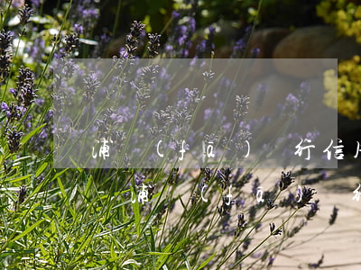 浦發(fā)銀行信用卡逾期為什么不起訴-浦發(fā)銀行信用卡逾期為什么不起訴了