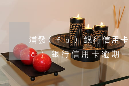 浦發(fā)銀行信用卡逾期立案(浦發(fā)銀行信用卡逾期一個(gè)月凍結(jié)信用卡)